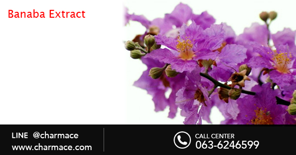 สารสกัดจากอินทนิลน้ำ Banaba Extract