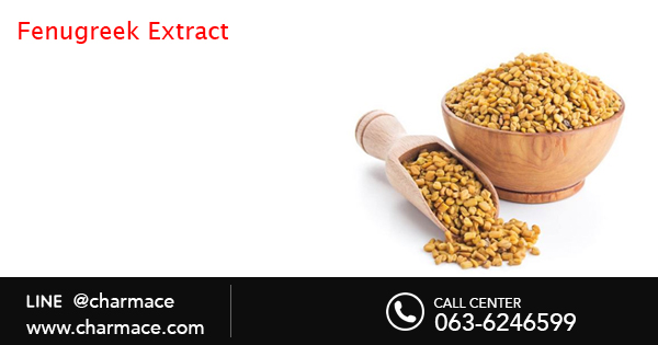 สารสกัดจากลูกซัด Fenugreek Extract