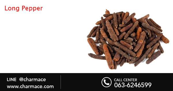 สารสกัดจากดีปลี Long Pepper