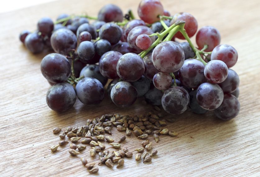 Grape seed extract สารสกัดจากเมล็ดองุ่น