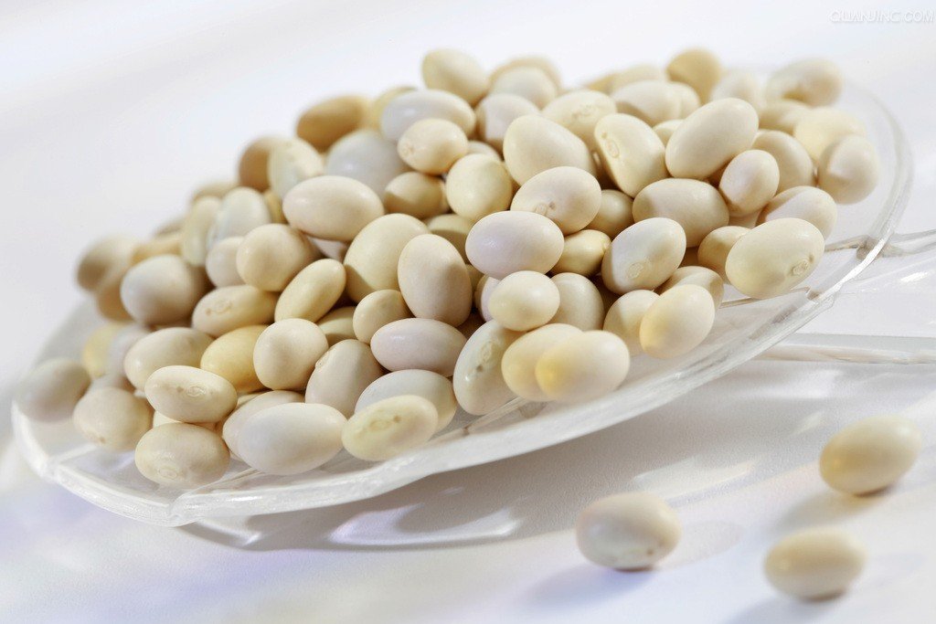 White kidney bean Extract : สารสกัดจากถั่วขาว