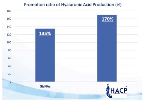 ผลการทดสอบการสร้าง Hyaluronic Acid 