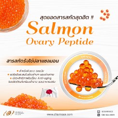 สุดยอด สารสกัดสุดฮิต !! Salmon Ovary Peptide