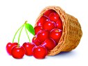 สารสกัดจาก Acerola Cherry Extract