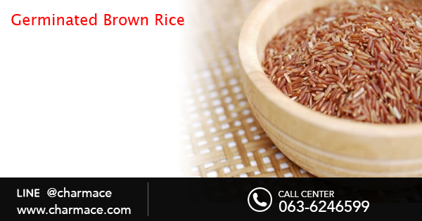 สารสกัด Germinated Brown Rice