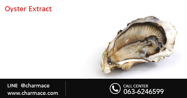 สารสกัด Oyster extract (หอยนางรม)