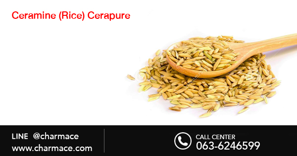 สารสกัดจาก Ceramine (Rice) Cerapure