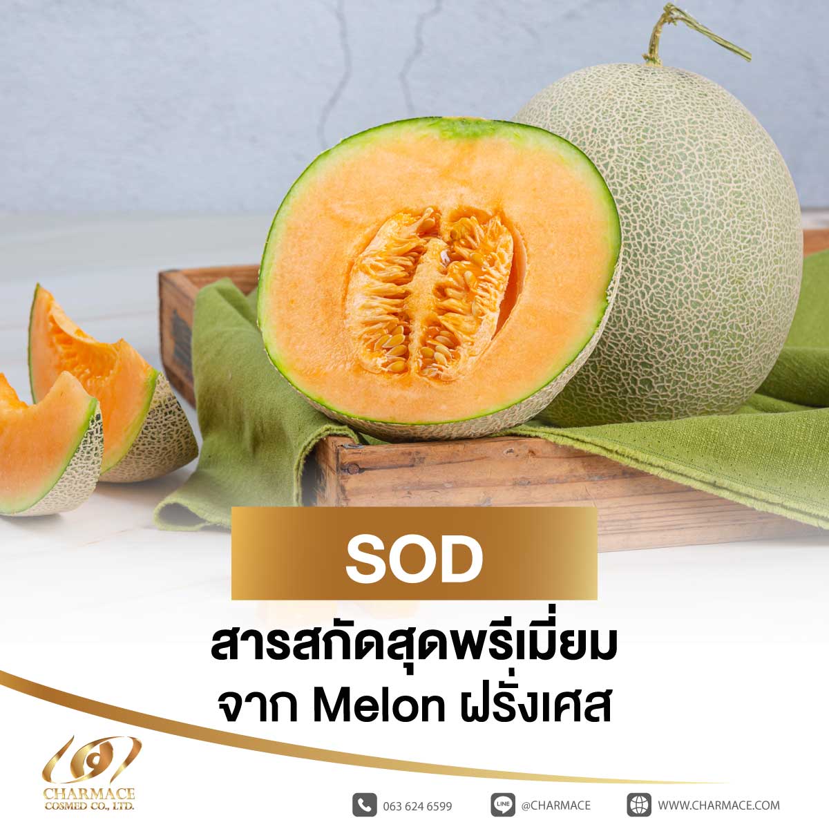 SOD สารสกัดสุดพรีเมี่ยม จาก Melon ฝรั่งเศส