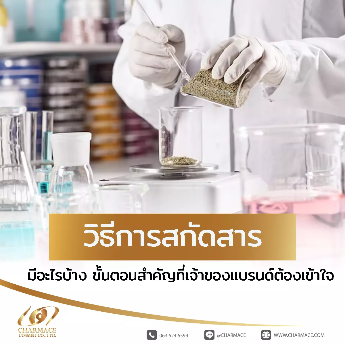 (ไทย) วิธีการสกัดสาร มีอะไรบ้าง ขั้นตอนสำคัญที่เจ้าของแบรนด์ต้องเข้าใจ